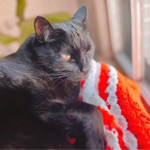 Meet your Posher, Heidi